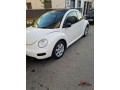 volkswagen-beetle-small-0