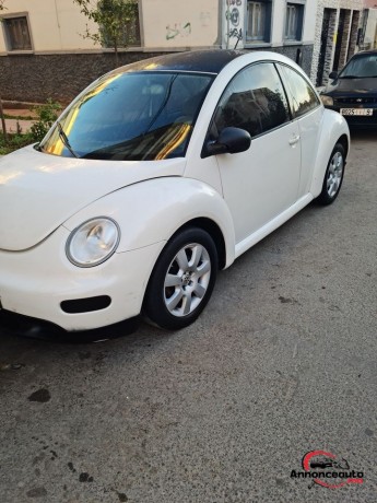 volkswagen-beetle-big-0